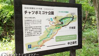 Thumbnail of post image 123