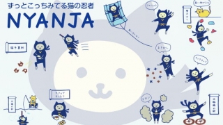 Thumbnail of post image 074